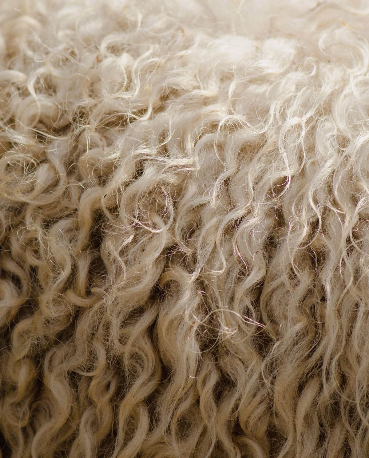 Wool 5000